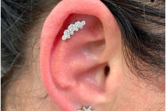 Flat w/ Industrial Strength Suprium Cluster. Inkhaus Tattoo.