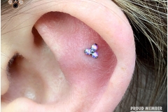 Flat w/ NeoMetal Trinity. Inkhaus Tattoo.