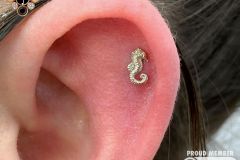 Helix piercing w/ Anatometal white gold seahorse.