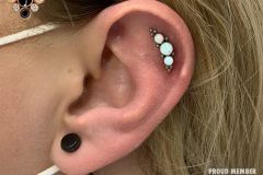 Helix piercing w/ LeRoi gem cluster.
