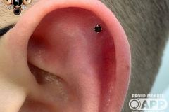 Helix piercing w/ BVLA white gold prong set black diamond.