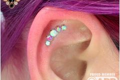 Helix piercing w/ Industrial Strength Prium cluster.