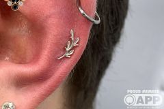 Helix piercing w/ BVLA white gold Amity.