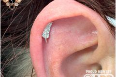 Helix piercing w/ junipurr white gold feather.