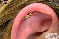 Helix piercing w/ BVLA rose gold Amity.