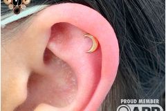 Helix piercing w/ anatometal rose gold moon.