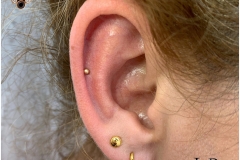 Helix w/ LeRoi Gold. Inkhaus Tattoo.