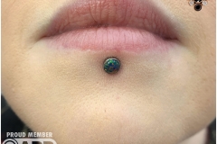 Healed Labret Piercing with Industrial Strength. Inkhaus Tattoo.