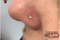 Nose Piercing w/ BVLA. Inkhaus Tattoo.