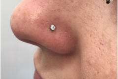 Nose Piercing w/ NeoMetal. Inkhaus Tattoo.