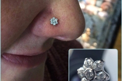 Nose Piercing with I.S. Flower. Inkhaus Tattoo.