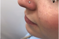 Nose Piercing w/ NeoMetal. Inkhaus Tattoo.