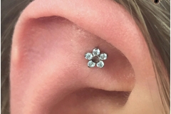 Faux Rook with NeoMetal Flower. Inkhaus Tattoo.