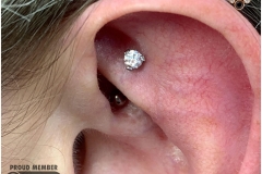Rook Piercing with Swarovski. Inkhaus Tattoo.