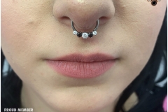 Healed Septum Piercing w/ Industrial Strength CBR and Swarivski Cluster. Inkhaus Tattoo.