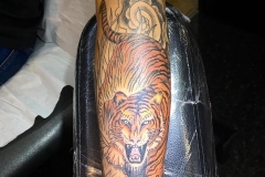 Tiger.