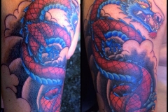 Red and Blue Dragon Cover-up.