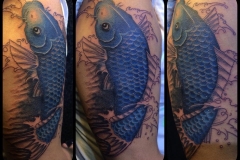 Koi Carp Cover-up.