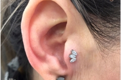 Tragus w/ Industrial Strength Marquise Cluster. Inkhaus Tattoo.