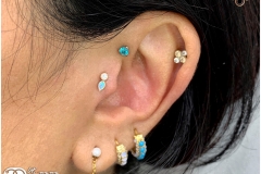 Tragus w/ Auris Cluster. Inkhaus Tattoo.