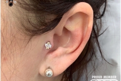 Tragus w/ Industrial Strength North Star Cluster. Inkhaus Tattoo.