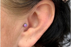 Tragus w/ Industrial Strength Opal. Inkhaus Tattoo.