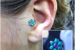 Healed tragus piercing with Anatometal flower.