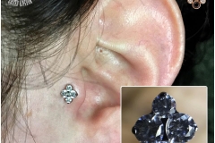 Tragus Piercing with Industrial Strength North Star Cluster. Inkhaus Tattoo.