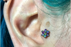 Healed Tragus with Anatometal flower. Inkhaus Tattoo.