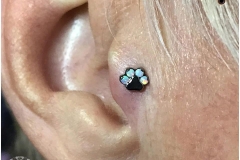 Tragus Piercing with PawPrint. Inkhaus Tattoo.