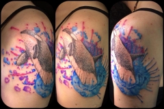 Watercolour Orca. Inkhaus Tattoo.