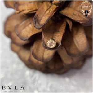 Yellow Gold Threaded Ends