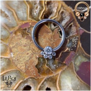 Titanium Captive Bead Rings