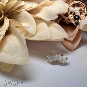 Tawapa