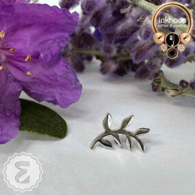 Ember 14 Karat White Gold 'Paradise'.